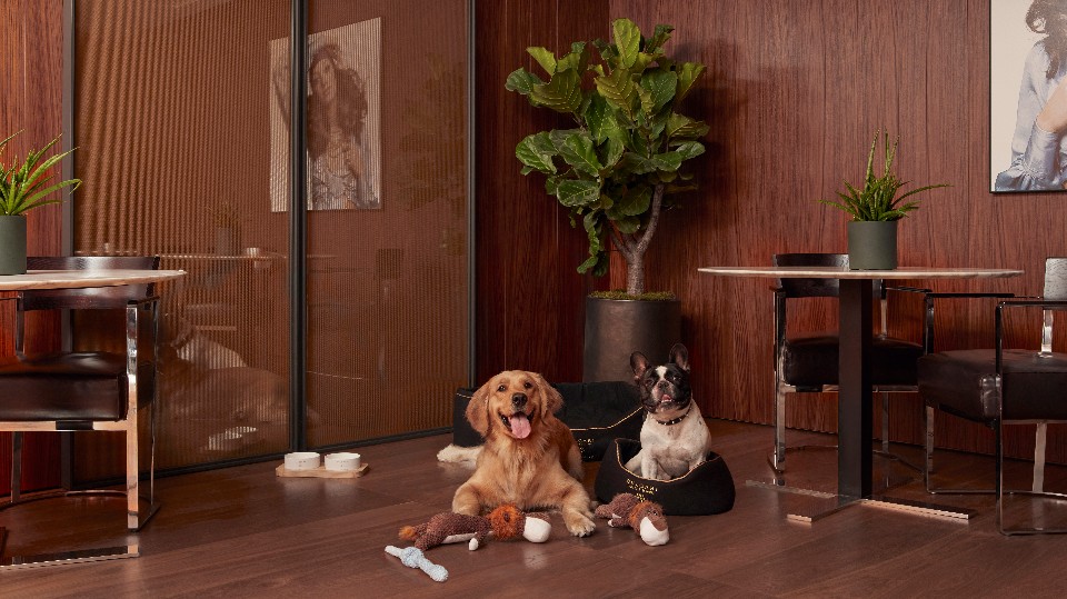Image for Bvlgari Hotels & Resorts and Bvlgari Pet Collection collaboration