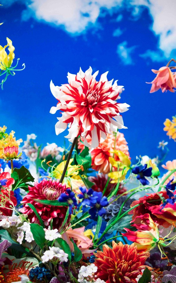 Mika Ninagawa, Flowers in the Shadows | Bvlgari Hotel Paris