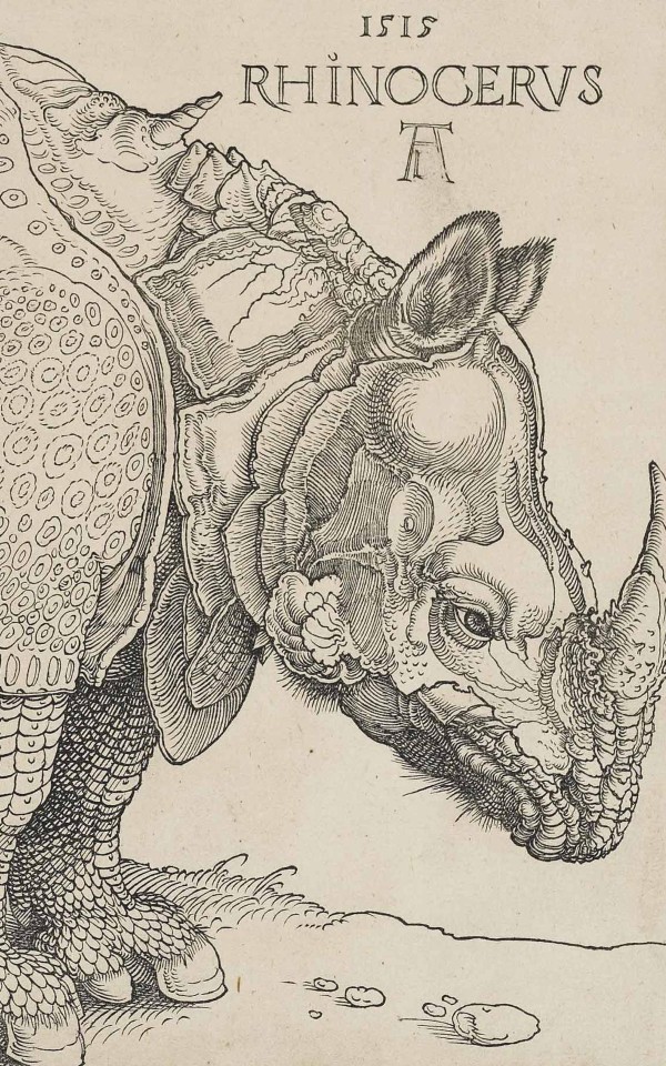 europe-s-most-celebrated-rhinoceros-painted-by-d-rer-bvlgari-hotel
