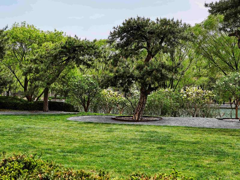 Bvlgari Hotel Beijing - Il Giardino
