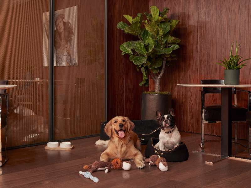 Bulgari Hotels & Resort The Bulgari Pet programme