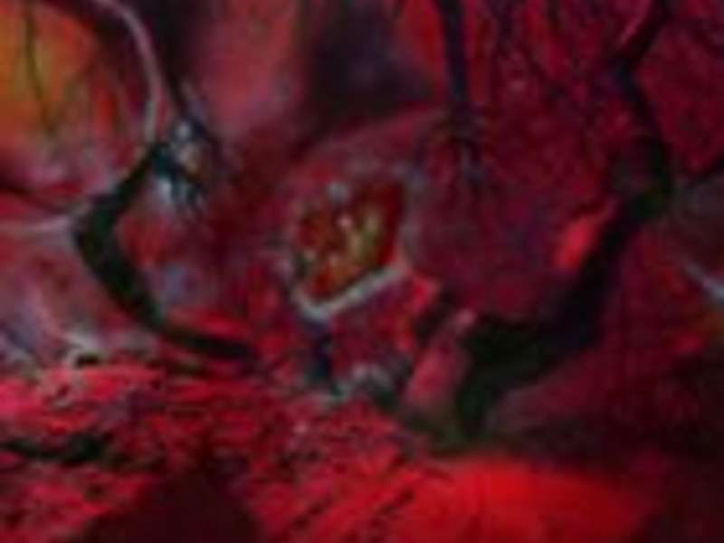 Pipilotti Rist, video still, 2024 | Courtesy Pipilotti Rist