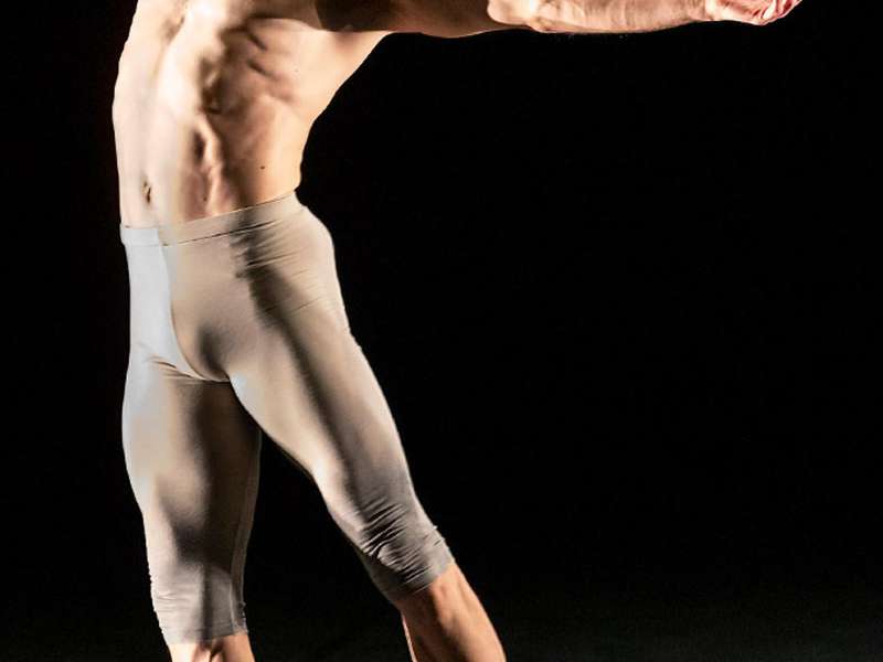 Roberto Bolle and Friends