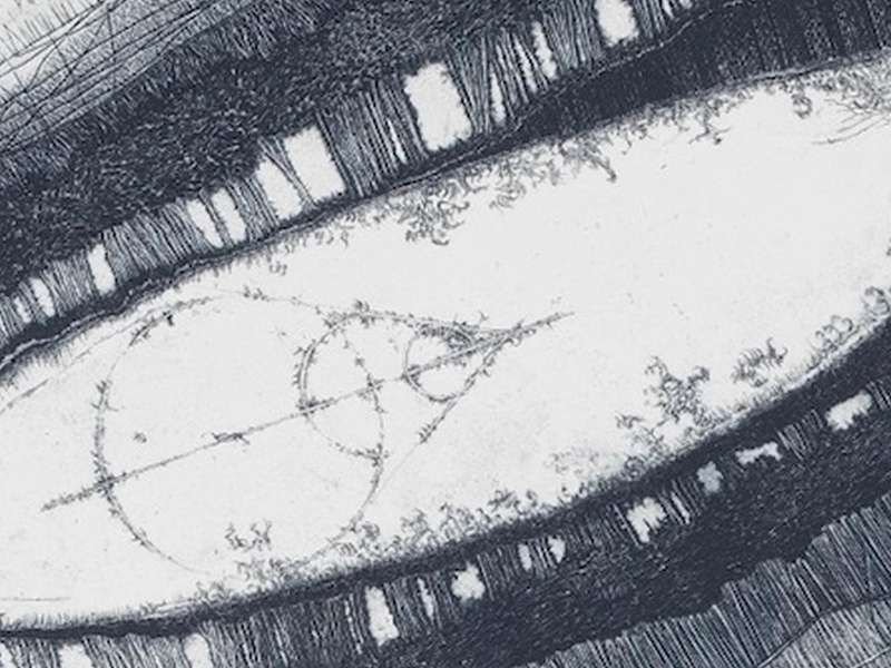 Andrea Lelario, Aurigae, 2013-2024, Etching, burin, drypoint on copper I Photo: Ottavio Celestino