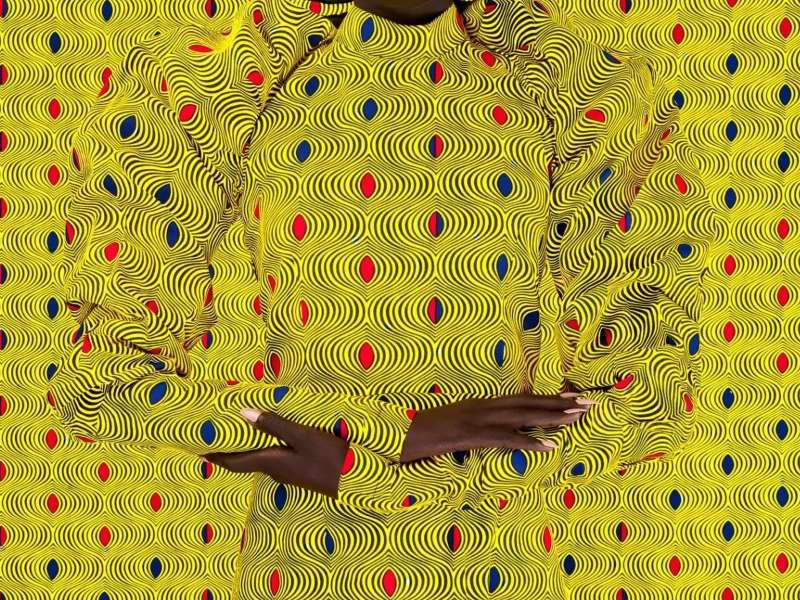 Exposition WAX, artwork of Thandiwe Muriu, MNHN 2025 &copy; T. Muriu
