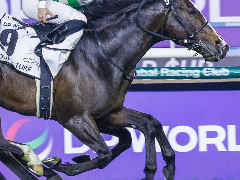 Soul Rush(JPN) (Yasutoshi Ikee - Cristian Demuro) wins Dubai Turf Sponsored By DP World, Thoroughbred Group 1, at the 29th Dubai World Cup on April 5, 2025