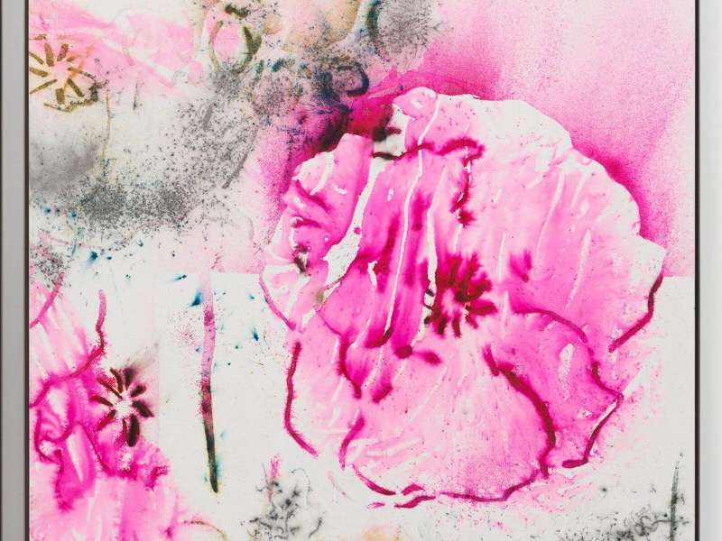 Cai Guo-Qiang, Pink Poppy No. 2, 2021, Gunpowder on canvas | Courtesy &copy; Cai Guo-Qiang | Photo: Theo Christelis White Cube