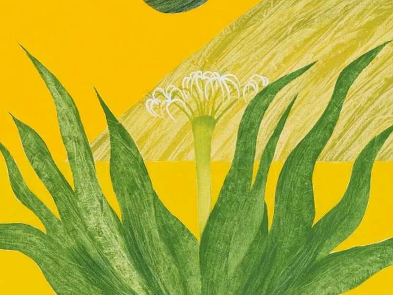 Jagdish Swaminathan, Untitled (Lily by my Window), Cisrca1970, Oil on canvas, 106.7 &times; 121.9 cm, Private collection, Switzerland | Photo: Courtesy Sotheby&rsquo;s, Inc. &copy; 2025 | &copy; J. Swaminathan Foundation