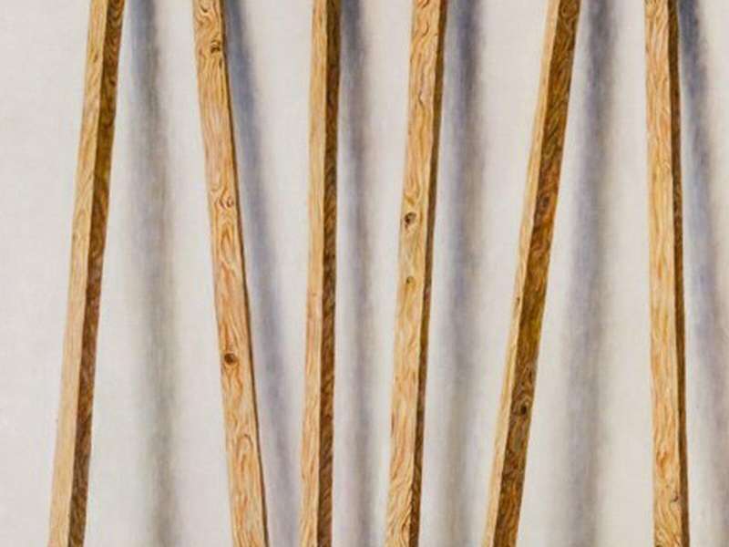 Sasaki Ken, Stick, Cane, Phenomenology of Mono-ha, or Painting about Role Models of Masculinity, 2024 | Photo: Ken Kato