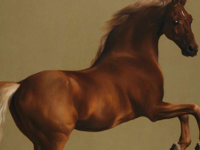 George Stubbs, Whistlejacket, Circa 1762 | Courtesy &copy; National Gallery, London