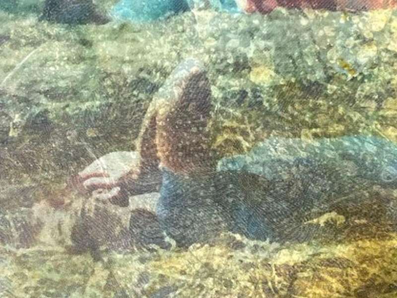 Eva Nielsen, Insula, 2023, Oil, silkscreen and organza on canvas| Courtesy Eva Nielsen and Peter Kilchmann Gallery | Photo: BMW ART MAKERS