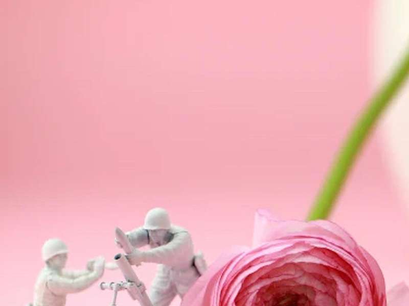 Anna Lim, Last Scene #2, 2012 | Courtesy &copy; Anna Lim