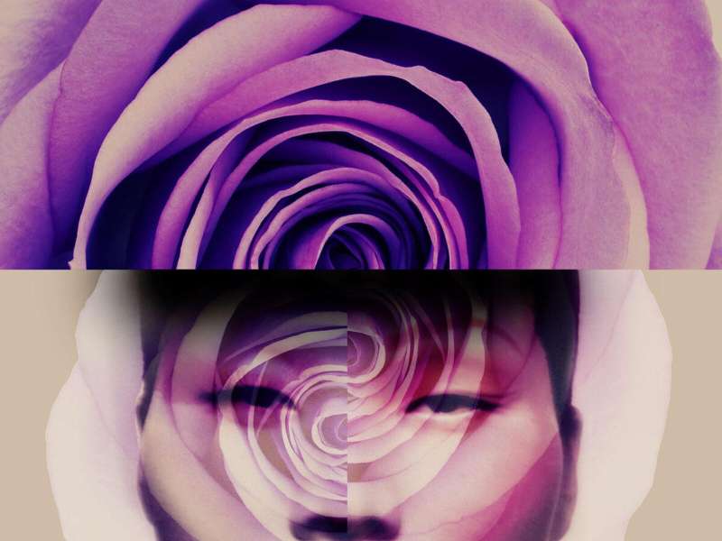 Giovanni Gastel, Flowers 23, 2020