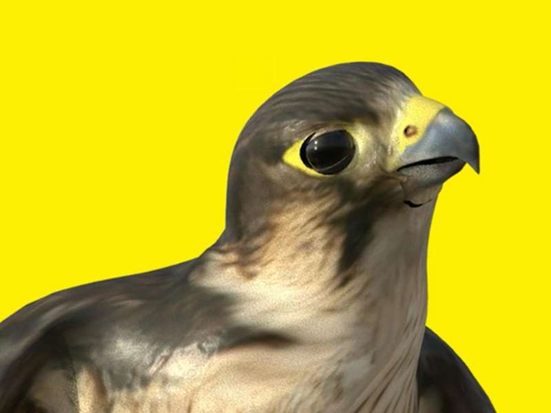 Ahaad Alamoudi, WHATIS THIS?!,&nbsp; 2019, Still | Courtesy &copy; Ahaad Alamoudi