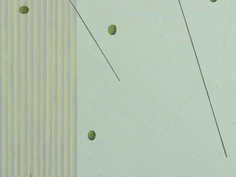 The Narrative of Nature: Vemo and Yi Wen Dual Solo Exhibition | Courtesy AroundSpace Gallery