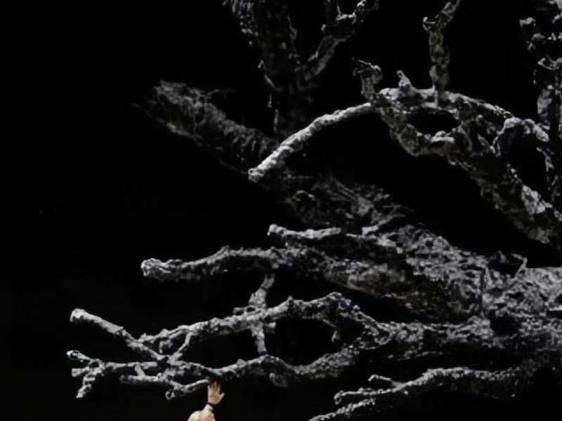 Siegfried at the Royal Opera House, London | Photo: The Royal Opera &copy; 2026 Monika Rittershaus