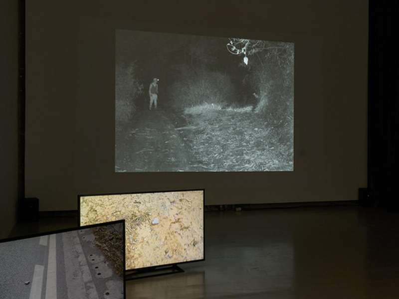 And We Shall Go Through Their Hills Without Much Delay | Courtesy Cheng Xinhao / Tabula Rasa Gallery