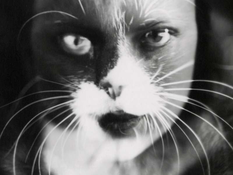 Wanda Wulz, I + Cat, 1932, Gelatin silver print (reprint 1982), Florence | Courtesy &copy; Archivi Alinari-Collezione Zannier