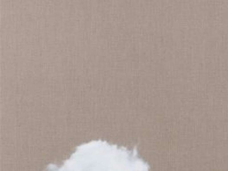 Luo Mingjun, Disperse, 2026 | Courtesy &copy; Luo Mingjun