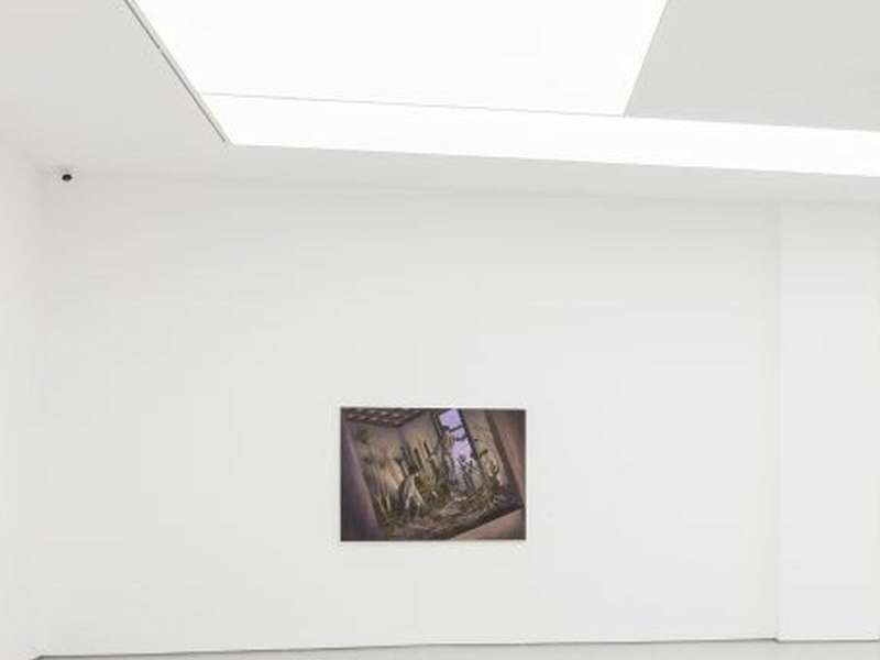 Real Presence | Courtesy Hive Center for Contemporary Art | Beijing