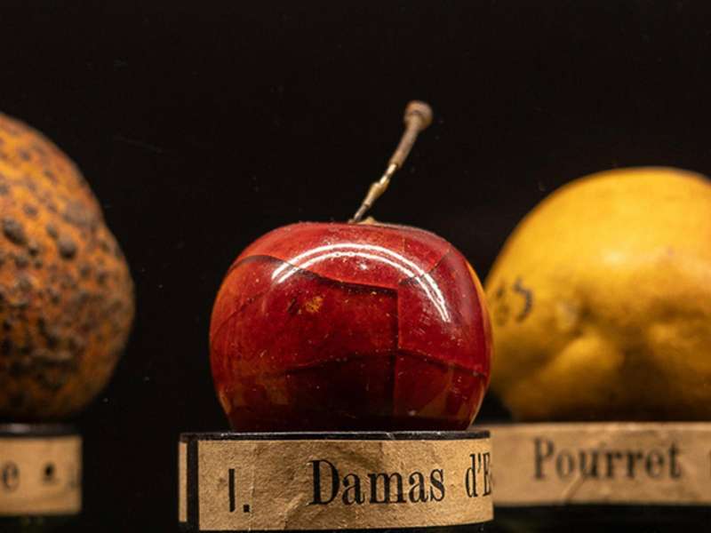 Elogio della diversit&agrave;.Viaggio negli ecosistemi italiani | Foto: Alberto Novelli | Courtesy Palazzo delle Esposizioni