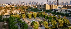 Bvlgari Resort Dubai - Meeting and events