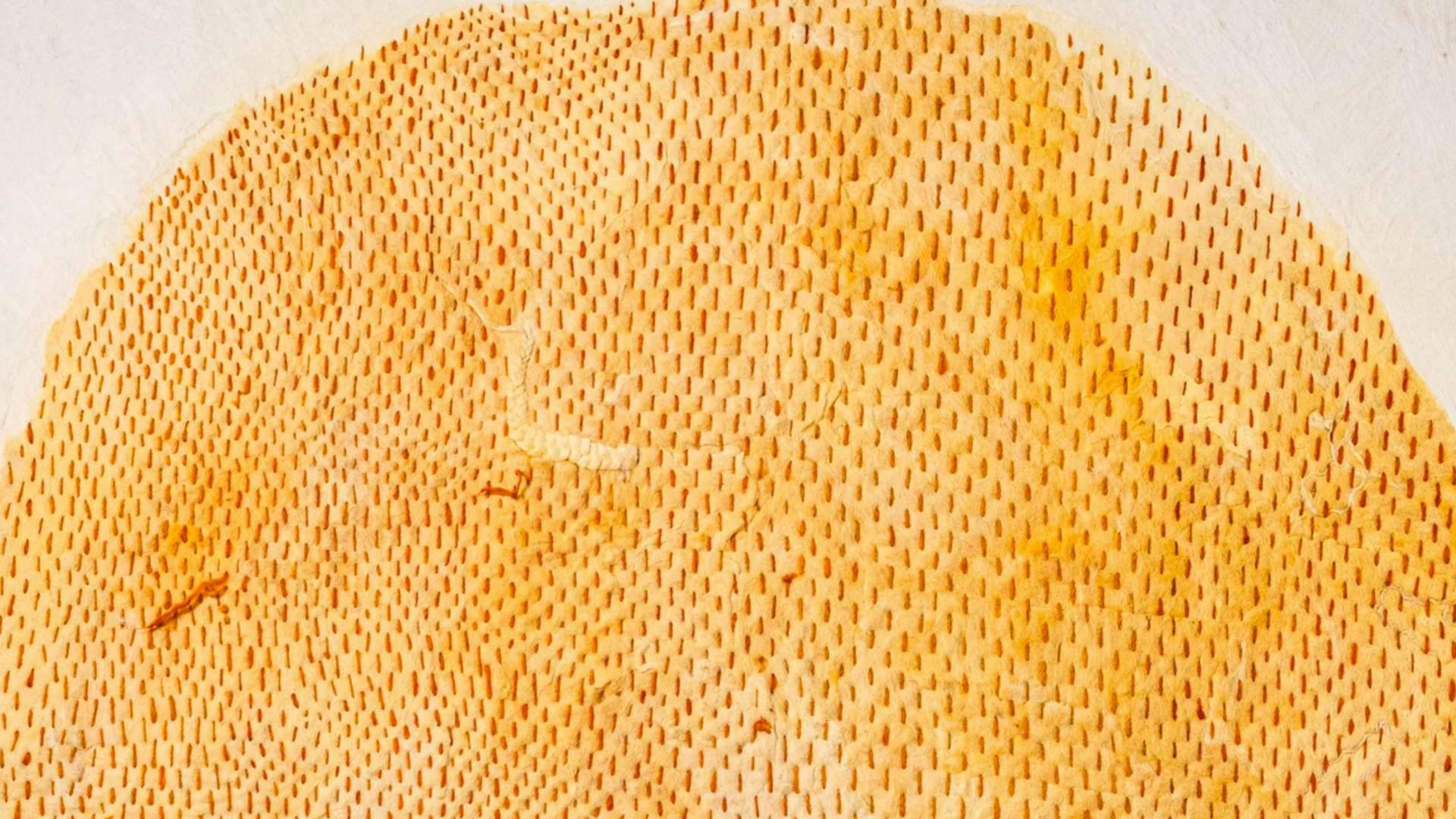 Adrian Pepe, Untitled, Detail, 2023, Embroidered felt, mixed media, 147 &times; 147 cm | Courtesy NIKA Project Space | &copy;&nbsp;Adrian Pepe