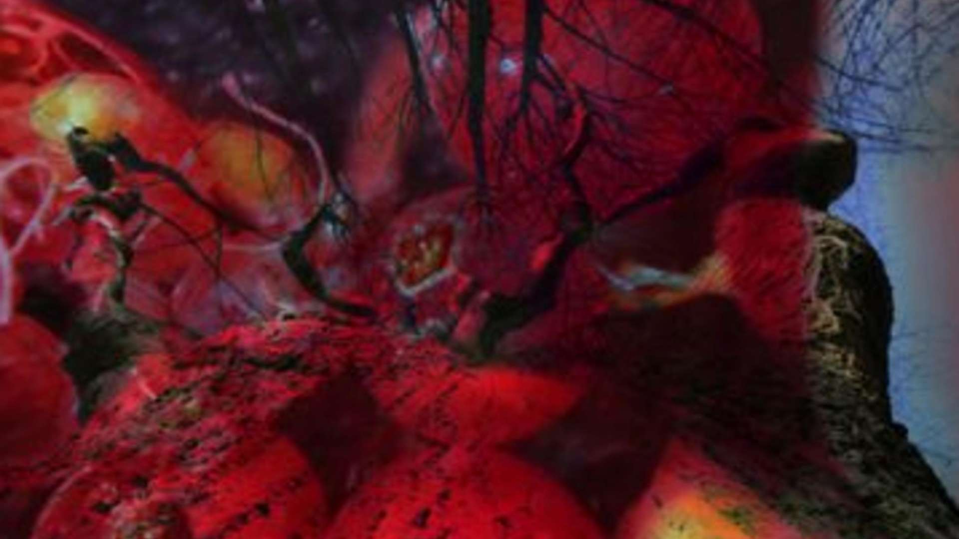 Pipilotti Rist, video still, 2024 | Courtesy Pipilotti Rist