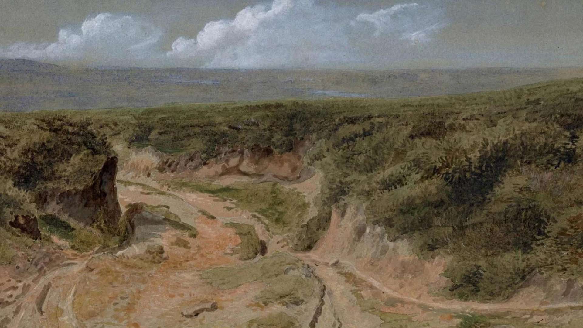 William Turner, Study of Nature on Shotover Hill, 1827 | Courtesy British Museum