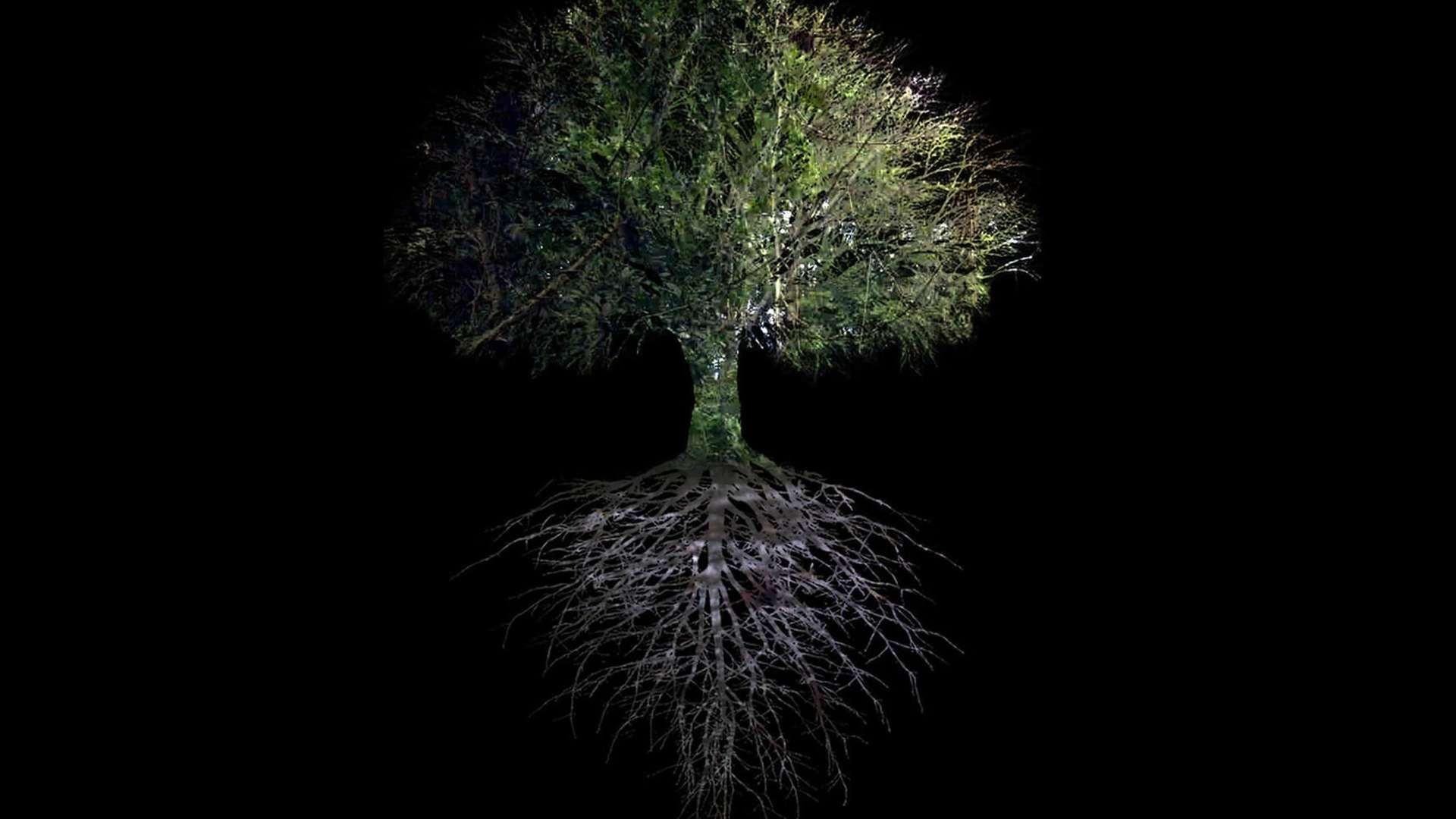 Ursula Biemann, Tree of Life in Forest Mind | &copy; Ursula Biemann | Courtesy The Design Museum, London