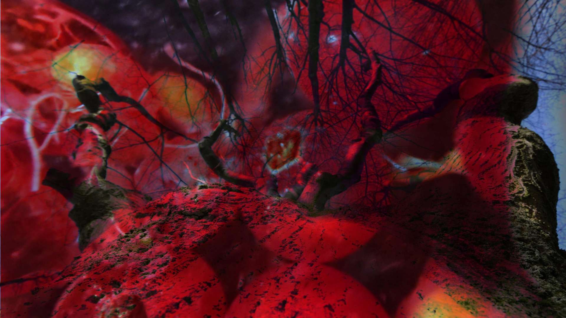 Pipilotti Rist, Video still, 2024 | Courtesy &copy; Pipilotti Rist