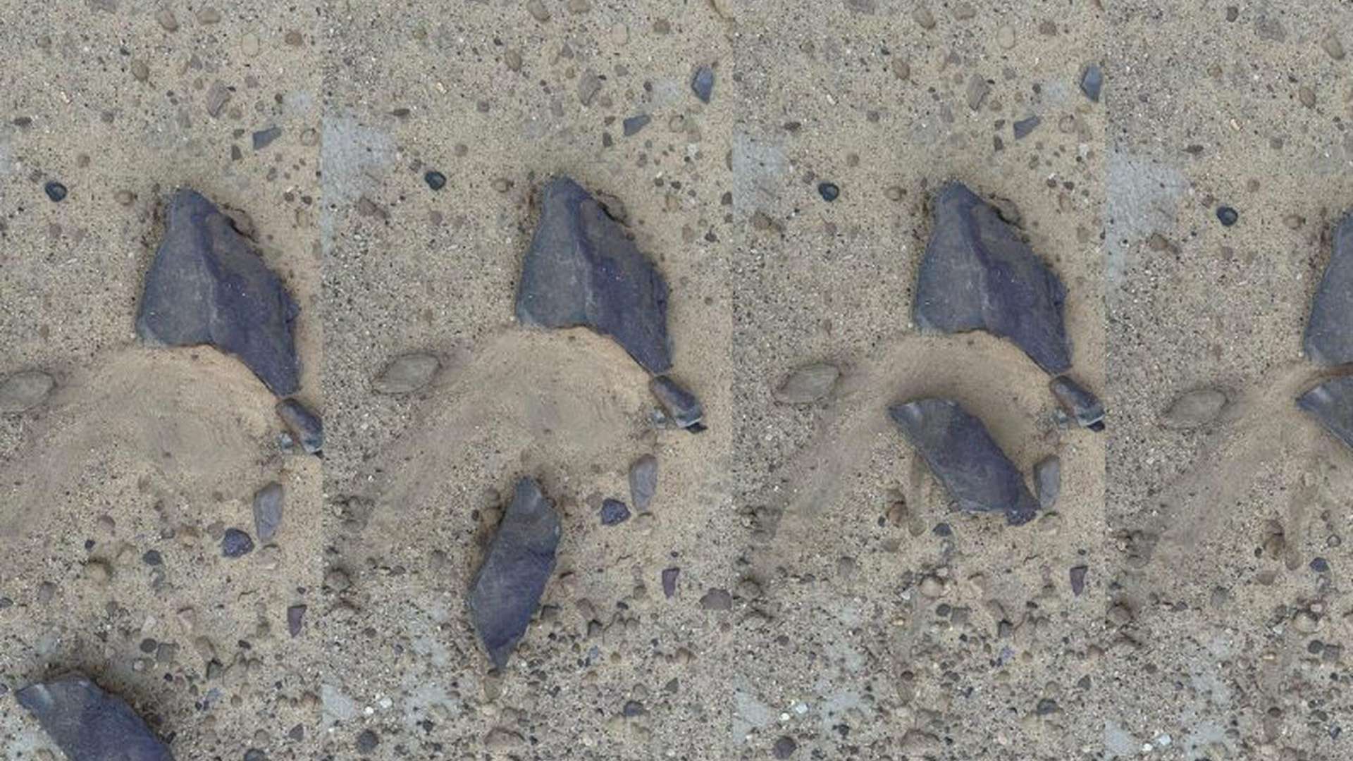 Seas are sweet, fish tears are salty | Courtesy Jameel Arts Centre