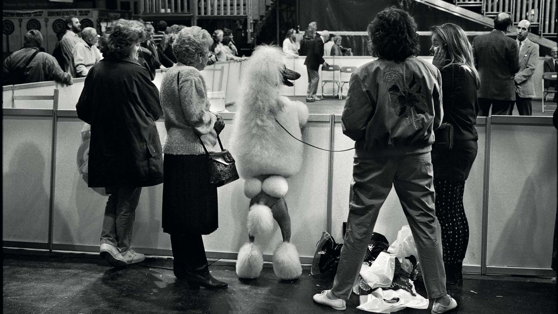 Elliott Erwitt, England. Birmingham, 1991, 40 &times; 50 cm | &copy; Elliott Erwitt Private Collection