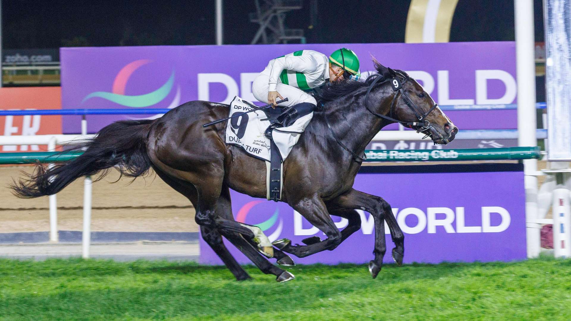 Soul Rush(JPN) (Yasutoshi Ikee - Cristian Demuro) wins Dubai Turf Sponsored By DP World, Thoroughbred Group 1, at the 29th Dubai World Cup on April 5, 2025