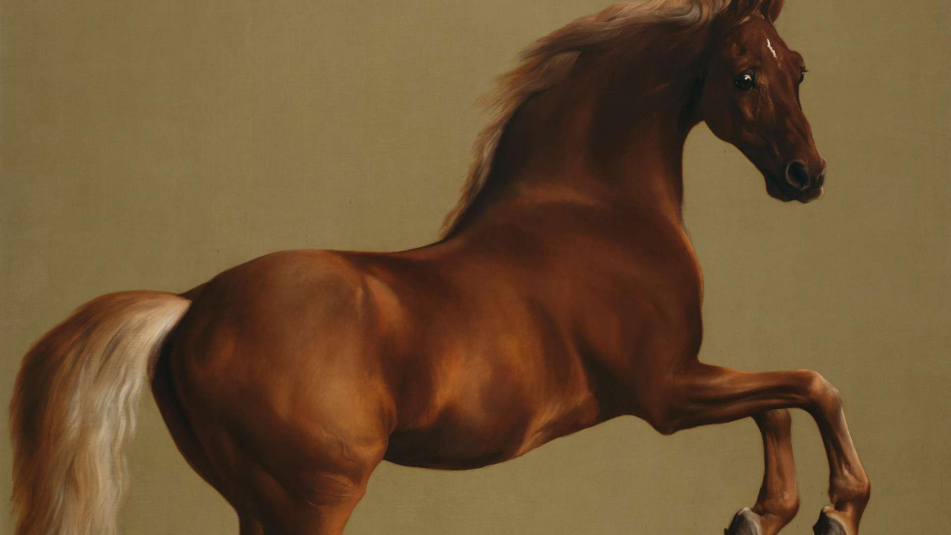 George Stubbs, Whistlejacket, 1762 circa | Courtesy &copy; National Gallery, London