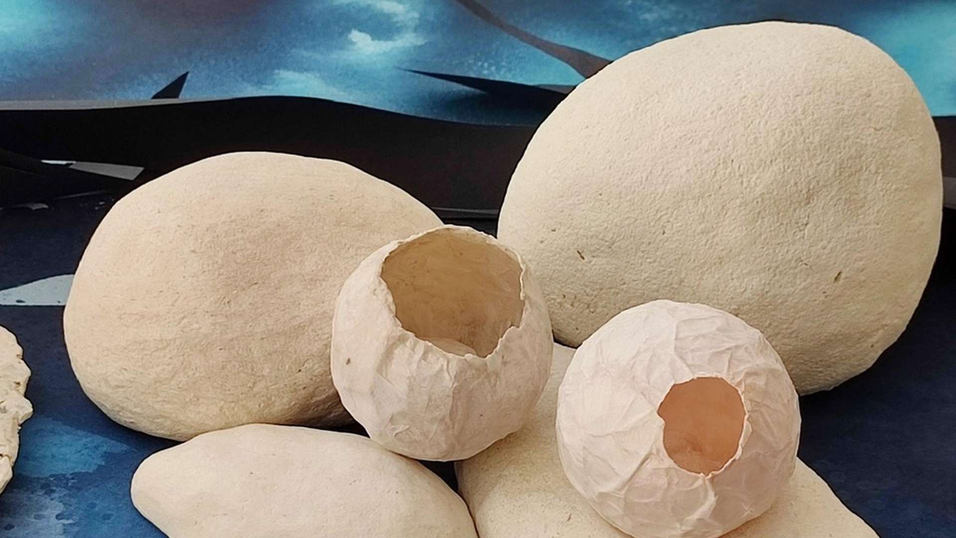 Still Life | Courtesy Museo Civico di Zoologia, Rome