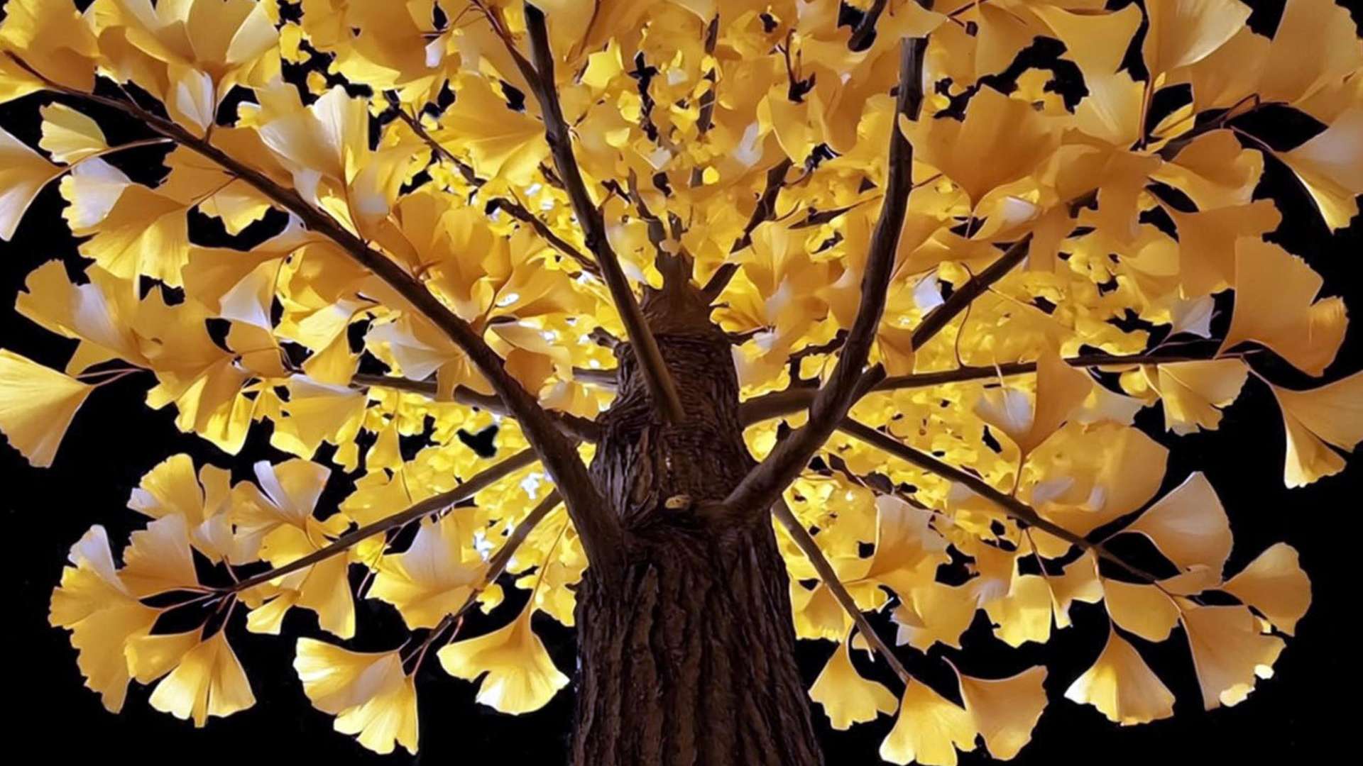 Debora Hirsch, Vanishing Trees, Ledwall, Palazzo Citterio, Milan