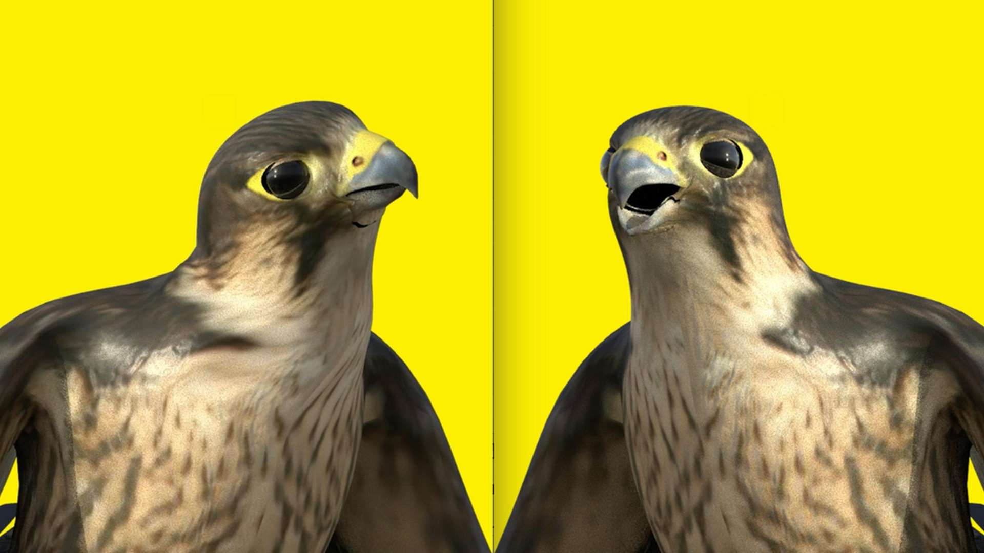 Ahaad Alamoudi, WHATIS THIS?!,&nbsp; 2019, Still | Courtesy &copy; Ahaad Alamoudi