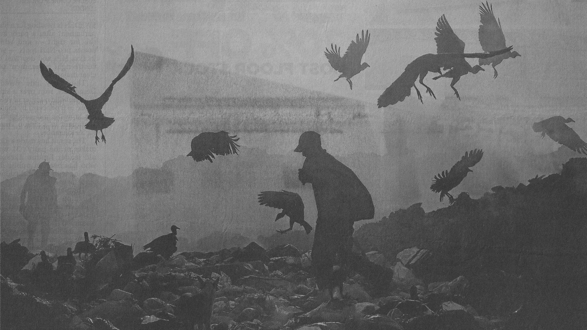 Marco Fusinato, The horizon is a razor, 12&rdquo; LP back cover image, 2026