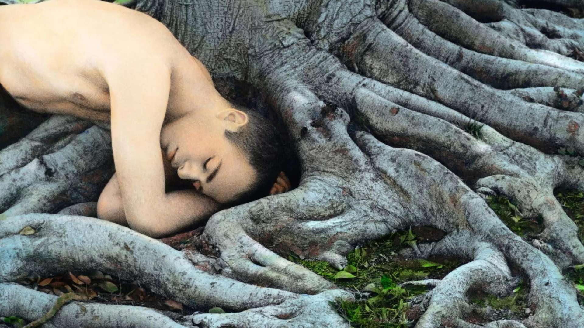 Joussef Nabil, Self-portrait with Roots, Los Angeles, 2008, Collection Pinault | Photo: &copy; Youssef Nab