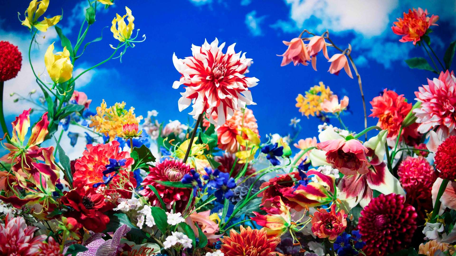 Courtesy &copy; Mika Ninagawa, Tomio Koyama Gallery