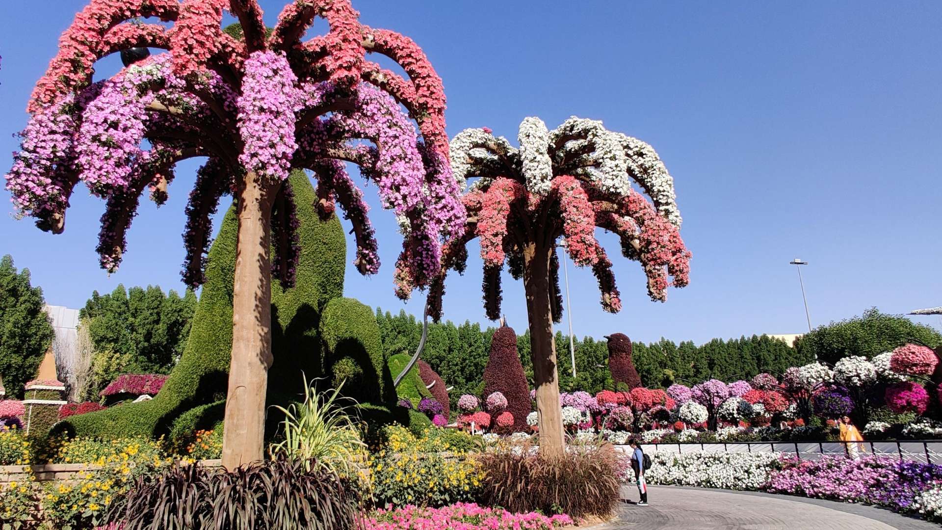 The Miracle Garden Bvlgari Resort Dubai