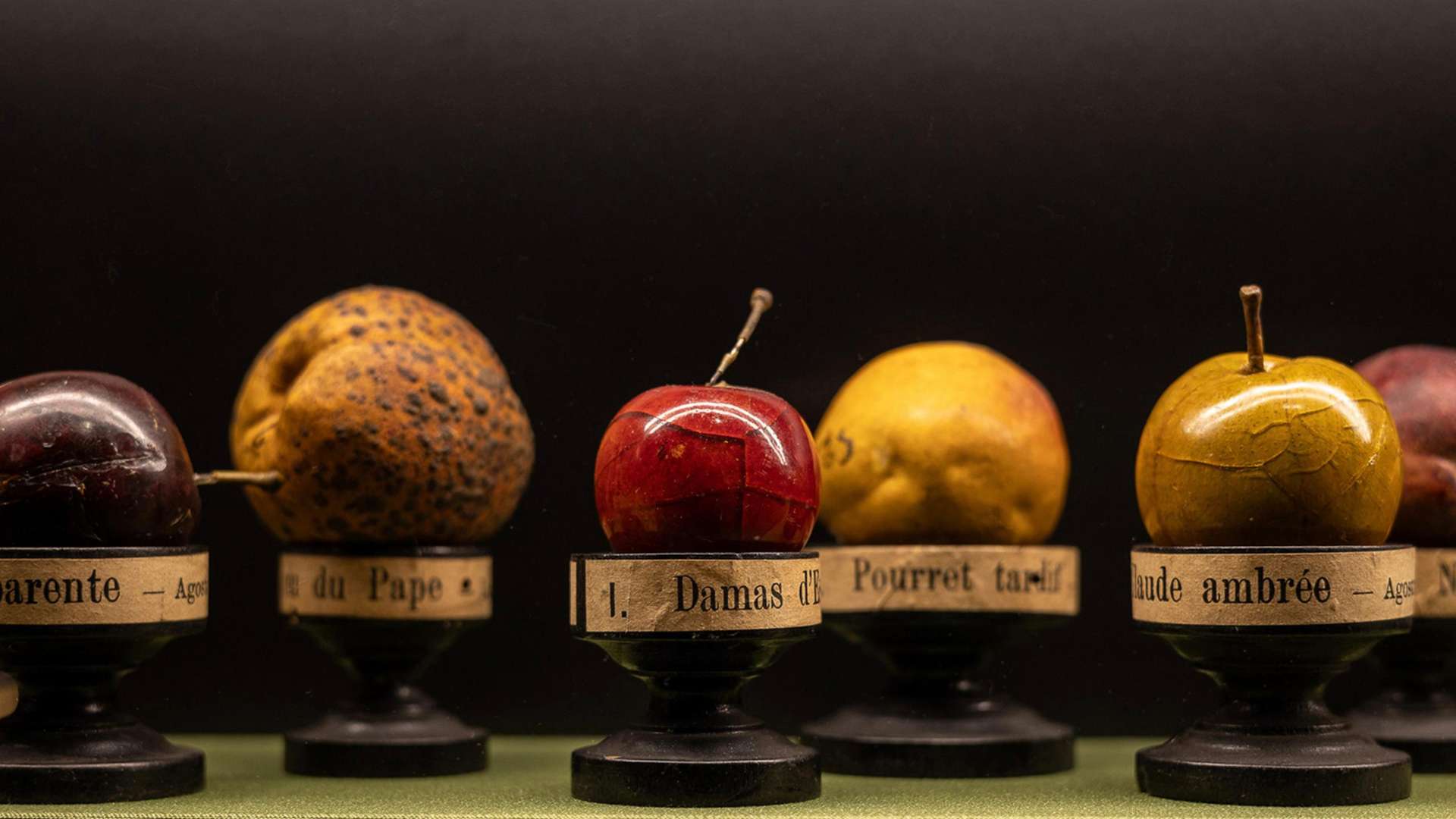 In Praise of Diversity. A Journey Through Italian Ecosystems | Photo: Alberto Novelli | Courtesy Palazzo delle Esposizioni