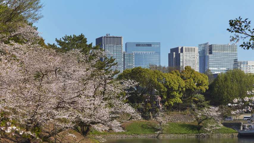 Bvlgari Hotel Tokyo - Primavera Exclusive Offer